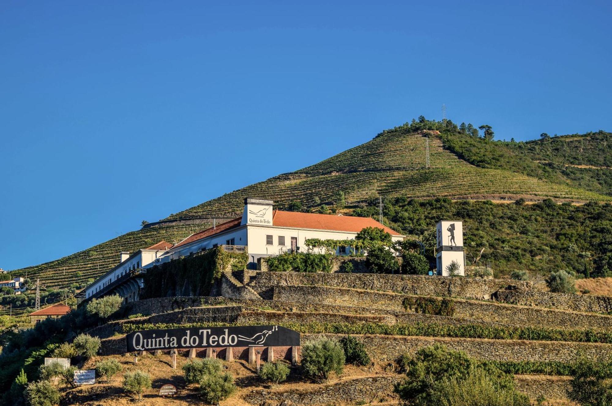 Quinta Do Tedo Bed & Breakfast Folgosa  Exterior foto